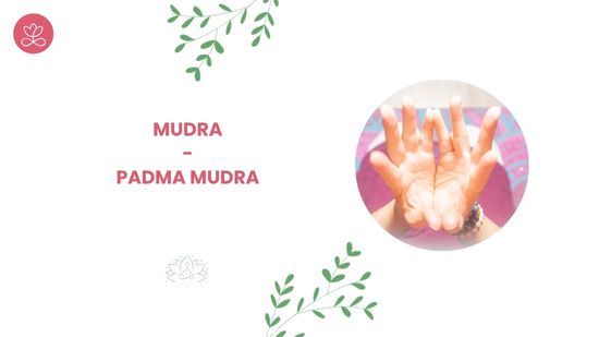 26. Mudra - Padma mudra avec Stéphanie Rougié